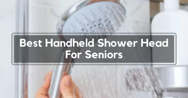 Best Handheld Shower Head For Seniors
