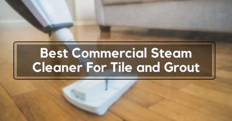 best commercial steam cleaner for tile and grout