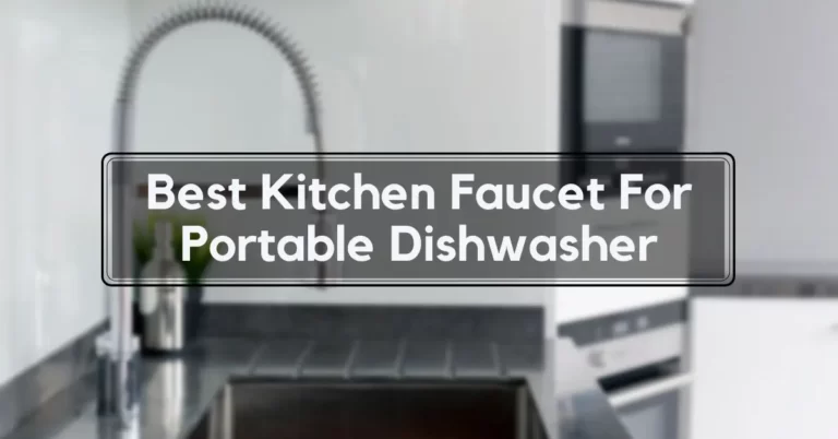 Best Kitchen Faucet For Portable Dishwasher